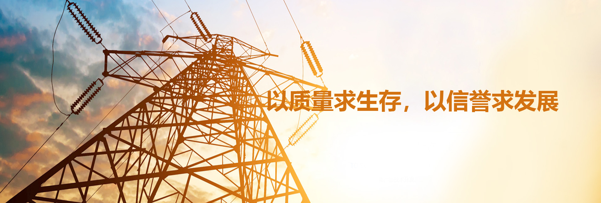 電網異物清除儀